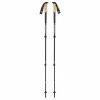 Fizan Alpine Carbon Cork Trekking Poles