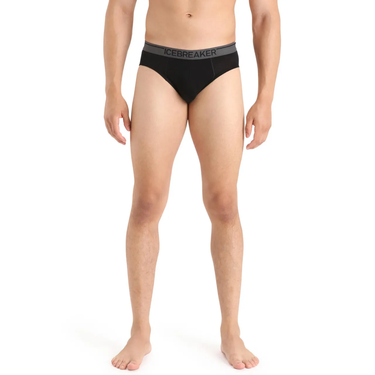 Icebreaker Anatomica Merino Briefs