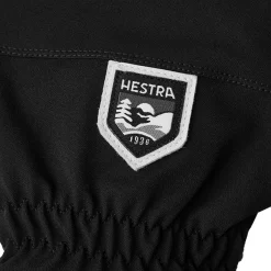 Hestra Army Leather Heli Ski GTX + Gore Gloves