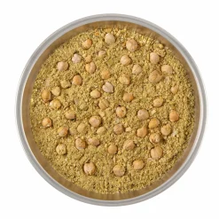 LYO Creamy Leek & Onion Soup