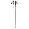 Black Diamond Distance Carbon Z Trekking Poles