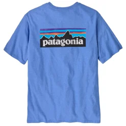 Patagonia P-6 Logo Responsibili-Tee - Past Season Colours