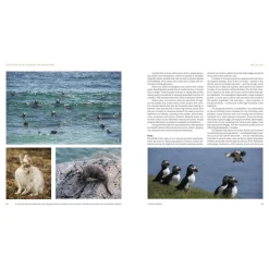 Garmin Scottish Wild Country Backpacking