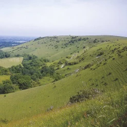 Harvey Maps The South Downs Way 2024