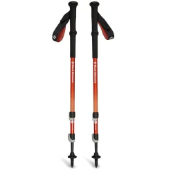 Fizan Trail Back Trekking Poles