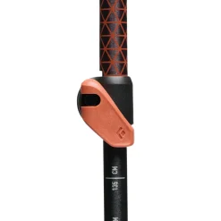 Fizan Trail Cork Trekking Poles