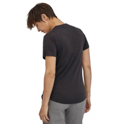 Women Patagonia Womens Capilene Cool Merino Graphic Shirt